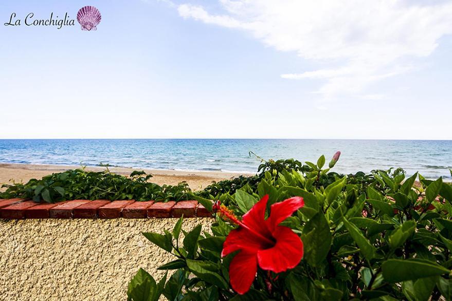 Casa La Conchiglia Sulla Spiaggia Lido di Noto Exterior photo